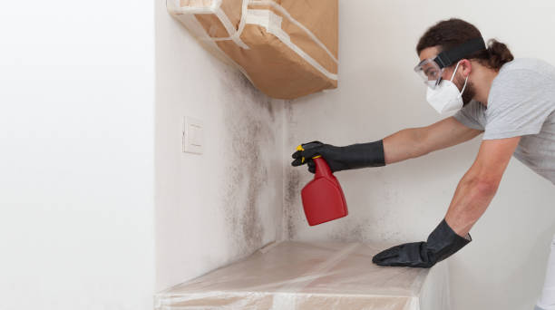 Professional Mold Removal technician working in Mendham, NJ