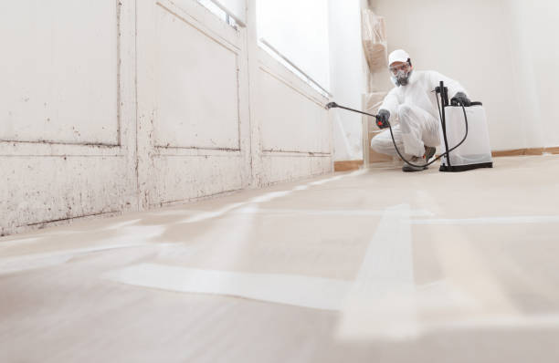 24/7 Emergency Mold Removal experts in Mendham, NJ