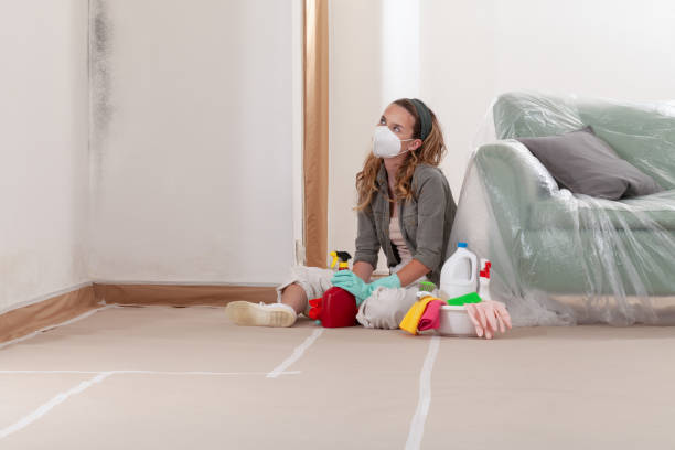 Reliable Mold Removal contractor in Mendham, NJ by WQB Mold Removal